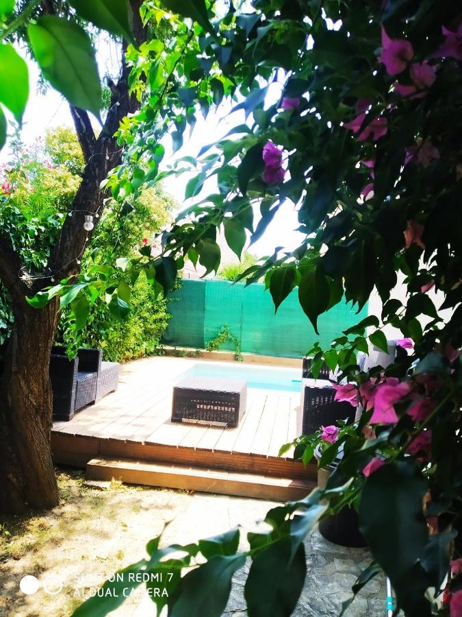 Les Lauriers Roses Leilighet Narbonne Eksteriør bilde